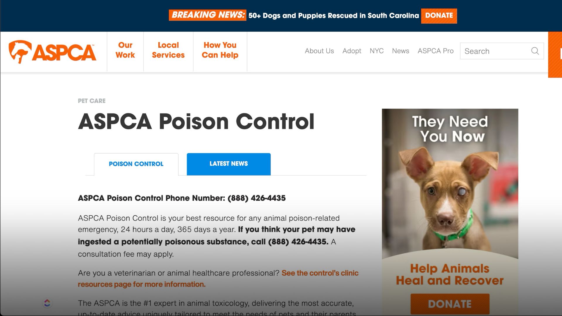 Animal Poison Control